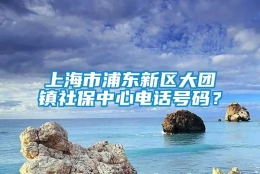 上海市浦东新区大团镇社保中心电话号码？