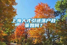 上海人才引进落户政策如何？