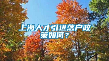 上海人才引进落户政策如何？