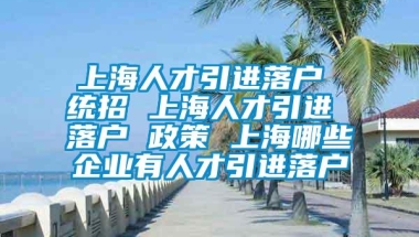 上海人才引进落户 统招 上海人才引进 落户 政策 上海哪些企业有人才引进落户