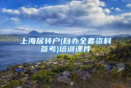 上海居转户(自办全套资料参考)培训课件