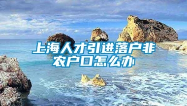 上海人才引进落户非农户口怎么办