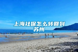 上海社保怎么转回到苏州