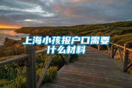 上海小孩报户口需要什么材料