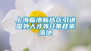 上海临港新片区引进国外人才等11条政策落地