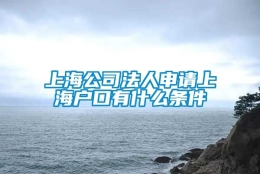 上海公司法人申请上海户口有什么条件