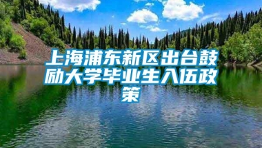 上海浦东新区出台鼓励大学毕业生入伍政策