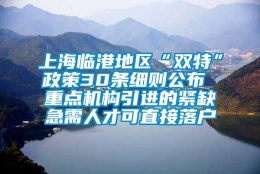 上海临港地区“双特”政策30条细则公布 重点机构引进的紧缺急需人才可直接落户