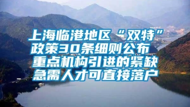 上海临港地区“双特”政策30条细则公布 重点机构引进的紧缺急需人才可直接落户