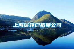 上海居转户指导公司