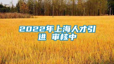 2022年上海人才引进 审核中