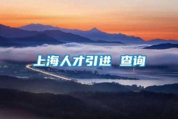 上海人才引进 查询