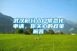 武汉积分入户常态化申请，你关心的政策解答↓