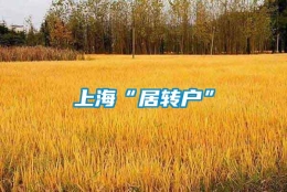 上海“居转户”