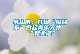 乳山市：打出“组合拳”掀起青年人才“就业潮”