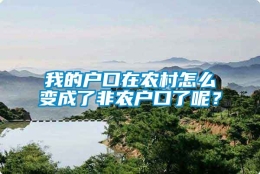 我的户口在农村怎么变成了非农户口了呢？