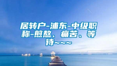 居转户-浦东-中级职称-煎熬、痛苦、等待~~~