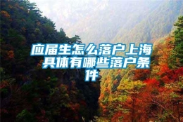 应届生怎么落户上海 具体有哪些落户条件