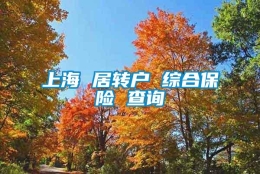 上海 居转户 综合保险 查询