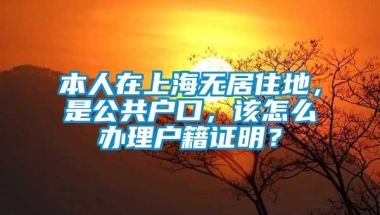 本人在上海无居住地，是公共户口，该怎么办理户籍证明？