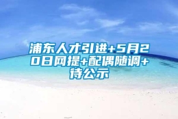 浦东人才引进+5月20日网提+配偶随调+待公示