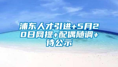 浦东人才引进+5月20日网提+配偶随调+待公示