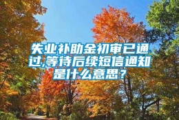 失业补助金初审已通过,等待后续短信通知是什么意思？