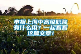 申报上海中高级职称有什么用？一起看看这篇文章！