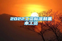 2022工资标准和基本工资