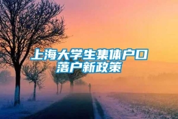 上海大学生集体户口落户新政策