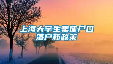 上海大学生集体户口落户新政策