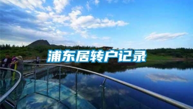 浦东居转户记录