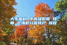 大专本科 中高级职称 技师 上海积分居转户 择校！