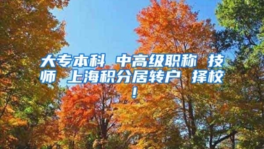 大专本科 中高级职称 技师 上海积分居转户 择校！