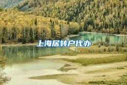 上海居转户代办