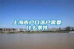 上海市户口落户需要什么条件