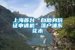 上海首台“自助身份证申请机”落户浦东花木