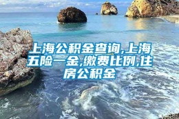 上海公积金查询,上海五险一金,缴费比例,住房公积金