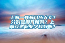 上海一共有几所大专？分别是哪几所啊？上海立达职业学校好吗？