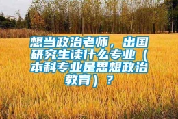 想当政治老师，出国研究生读什么专业（本科专业是思想政治教育）？