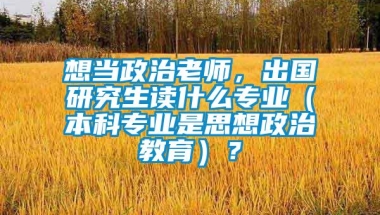 想当政治老师，出国研究生读什么专业（本科专业是思想政治教育）？