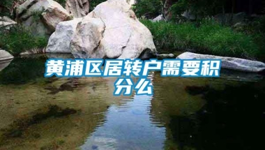 黄浦区居转户需要积分么