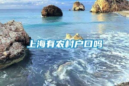 上海有农村户口吗