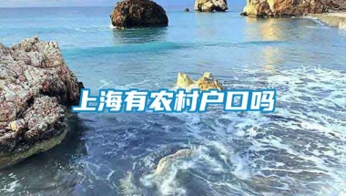 上海有农村户口吗