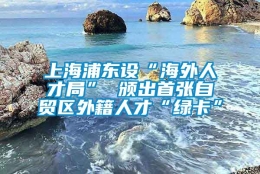 上海浦东设“海外人才局” 颁出首张自贸区外籍人才“绿卡”