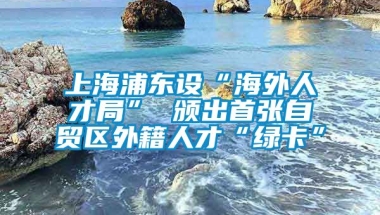 上海浦东设“海外人才局” 颁出首张自贸区外籍人才“绿卡”