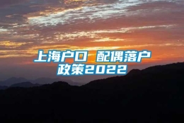 上海户口 配偶落户政策2022