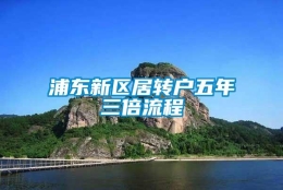 浦东新区居转户五年三倍流程