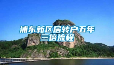 浦东新区居转户五年三倍流程