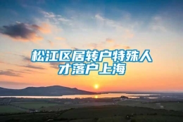 松江区居转户特殊人才落户上海